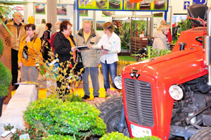 Dresdner Ostern: Foto MESSE DRESDEN